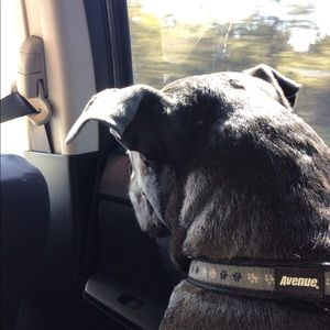 Meet your Posher, Tecoa